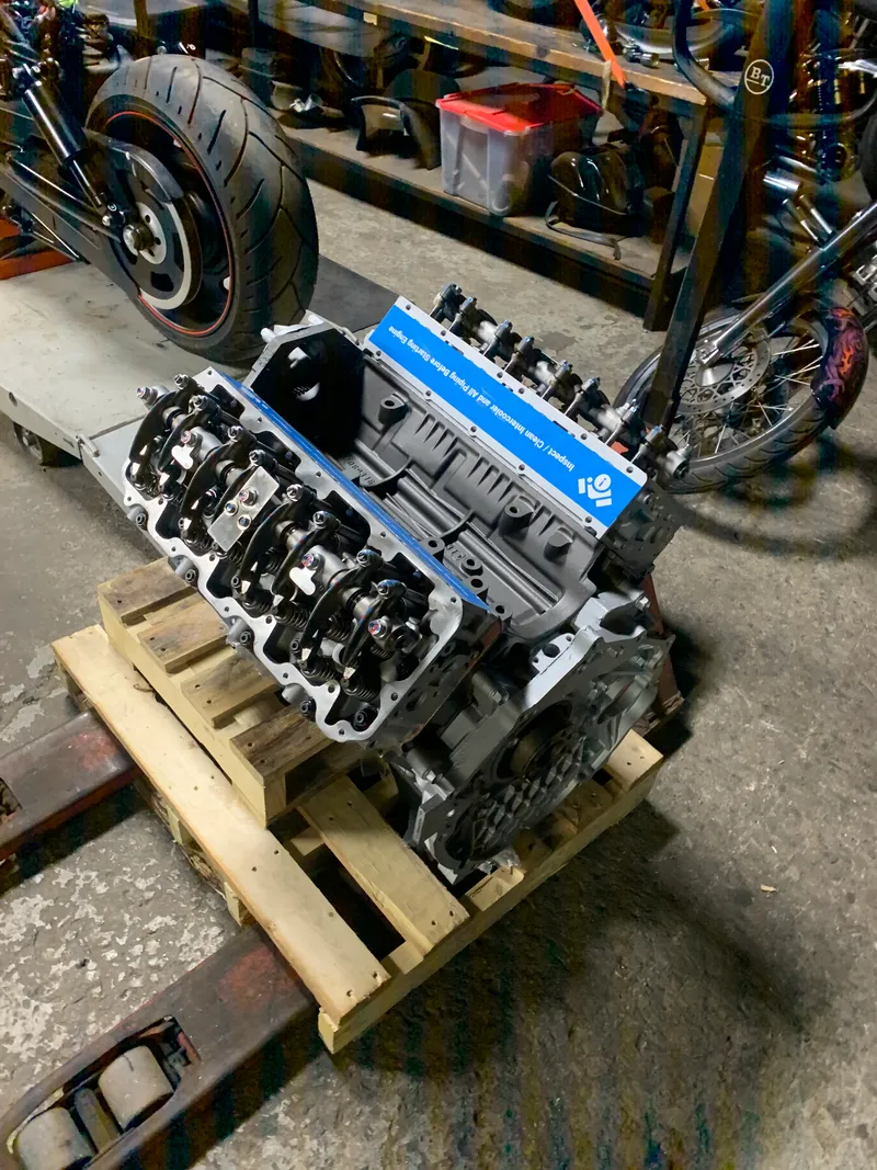 H1 ALFA